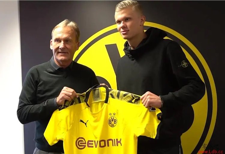 供了低风险 供了低风险