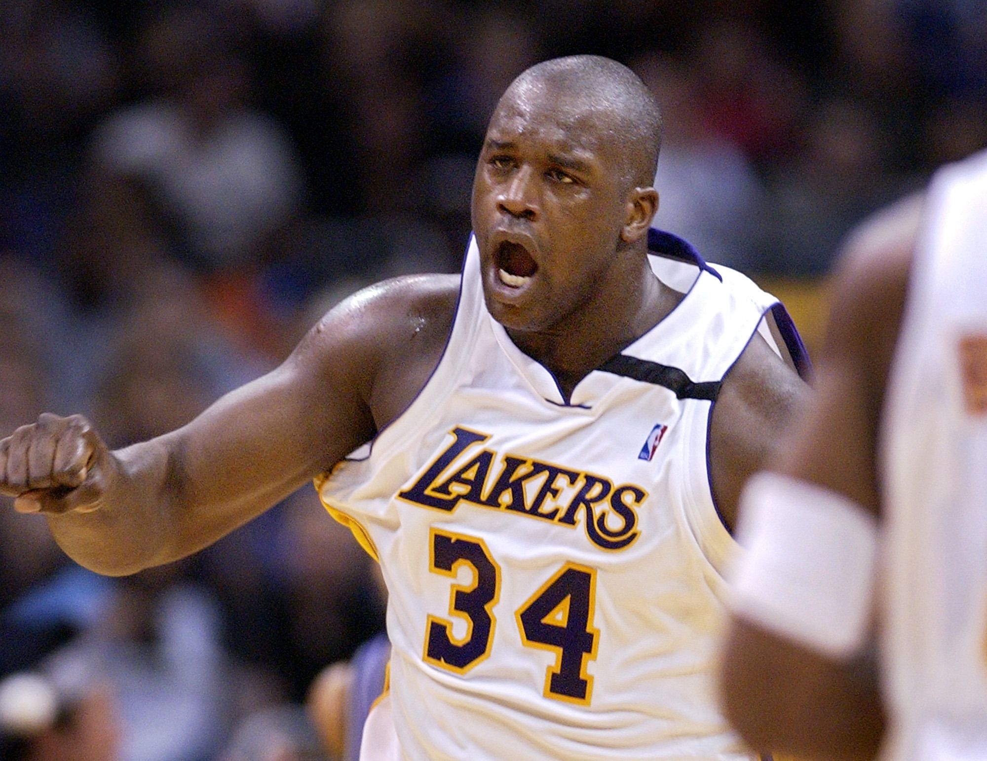 艾尔莎的命 艾尔莎的命